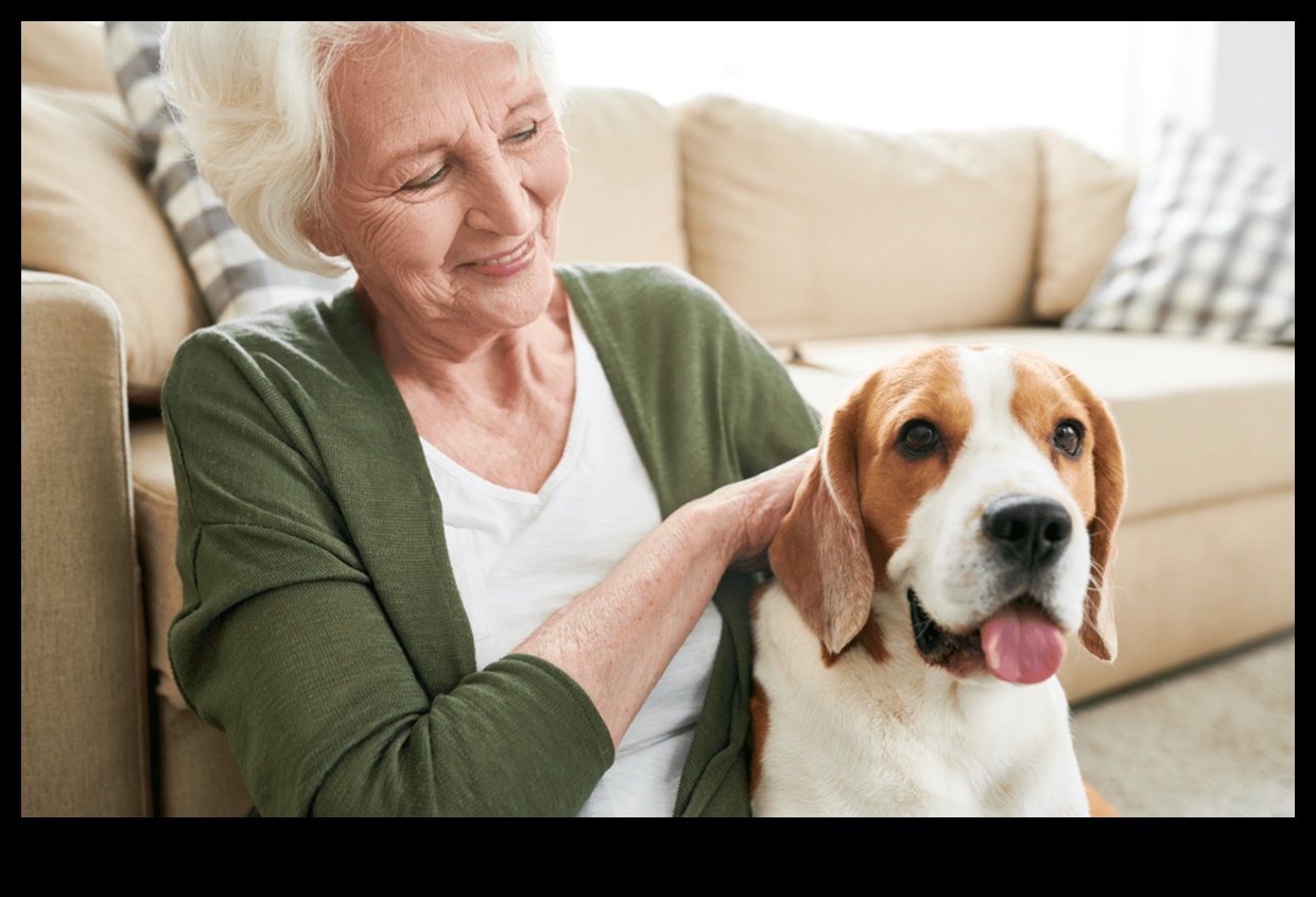 Golden Years: Senior Pet Care Strategies for Aging Companions