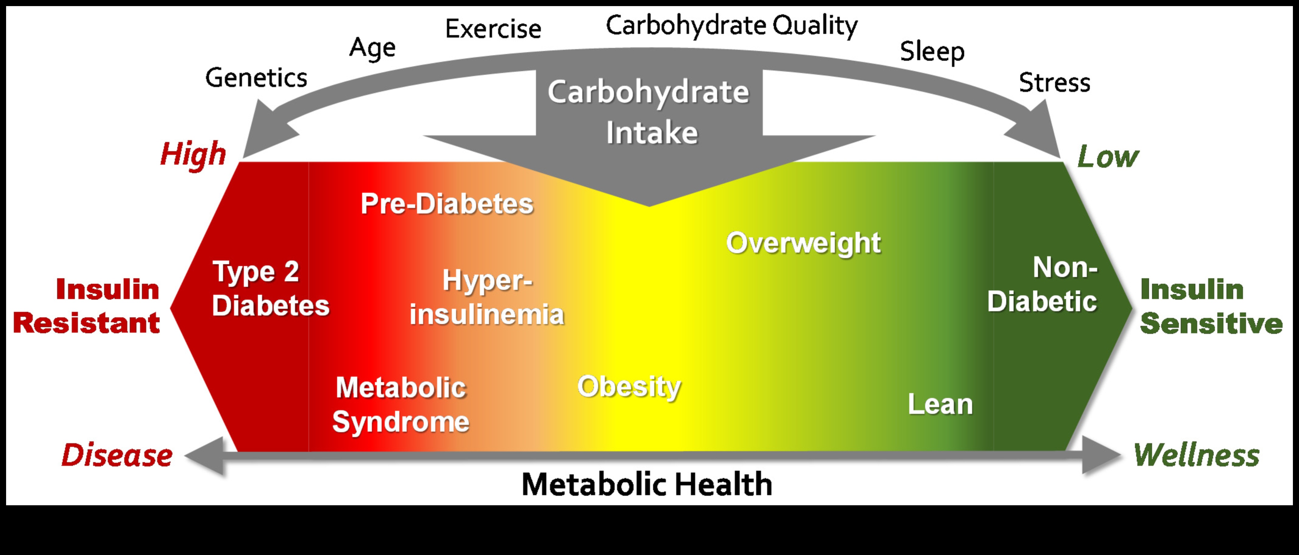 Σοφία για τους υδατάνθρακες Μια ισορροπημένη προσέγγιση στη διατροφή 4 Υδατάνθρακες Wisdom: Ένας ολοκληρωμένος οδηγός για τη διατροφική ισορροπία