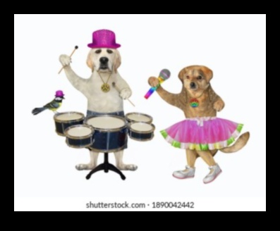 Doggy Drum Circle: Musical Moments for Canine Companions