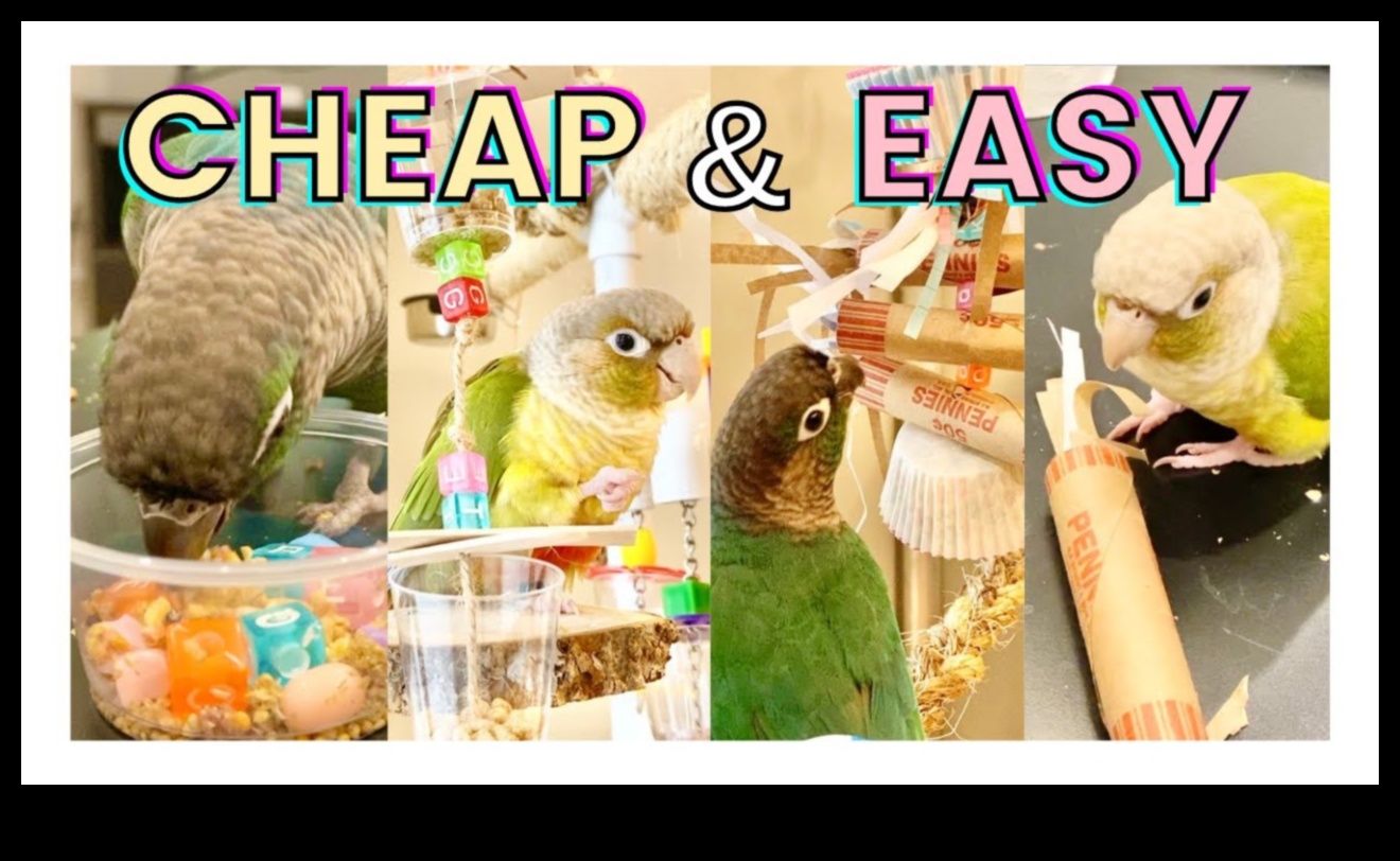 DIY Παιχνίδια πουλιών: Δραστηριότητες εμπλουτισμού για τους φτερωτούς φίλους σας