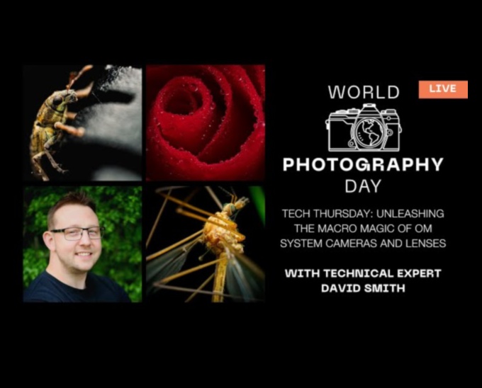 Macro Magic: Κάμερες για τη λήψη μικροσκοπικών λεπτομερειών