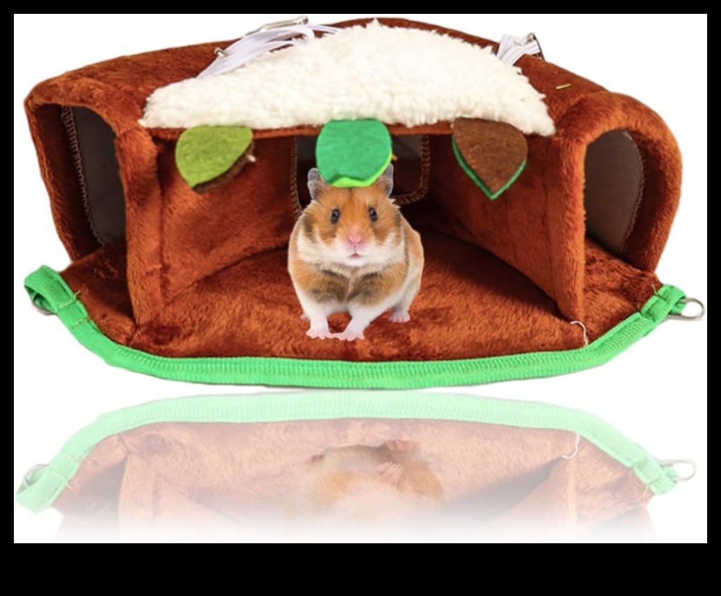 Χάμστερ Hideouts Συνέχεια: Καινοτόμα υλικά και ιδέες για ένθεση