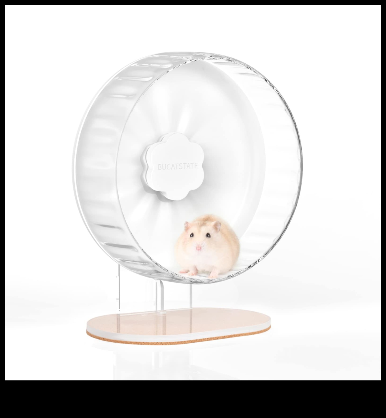 Εναλλακτικές λύσεις τροχού χάμστερ: διαφοροποιώντας τις επιλογές άσκησης