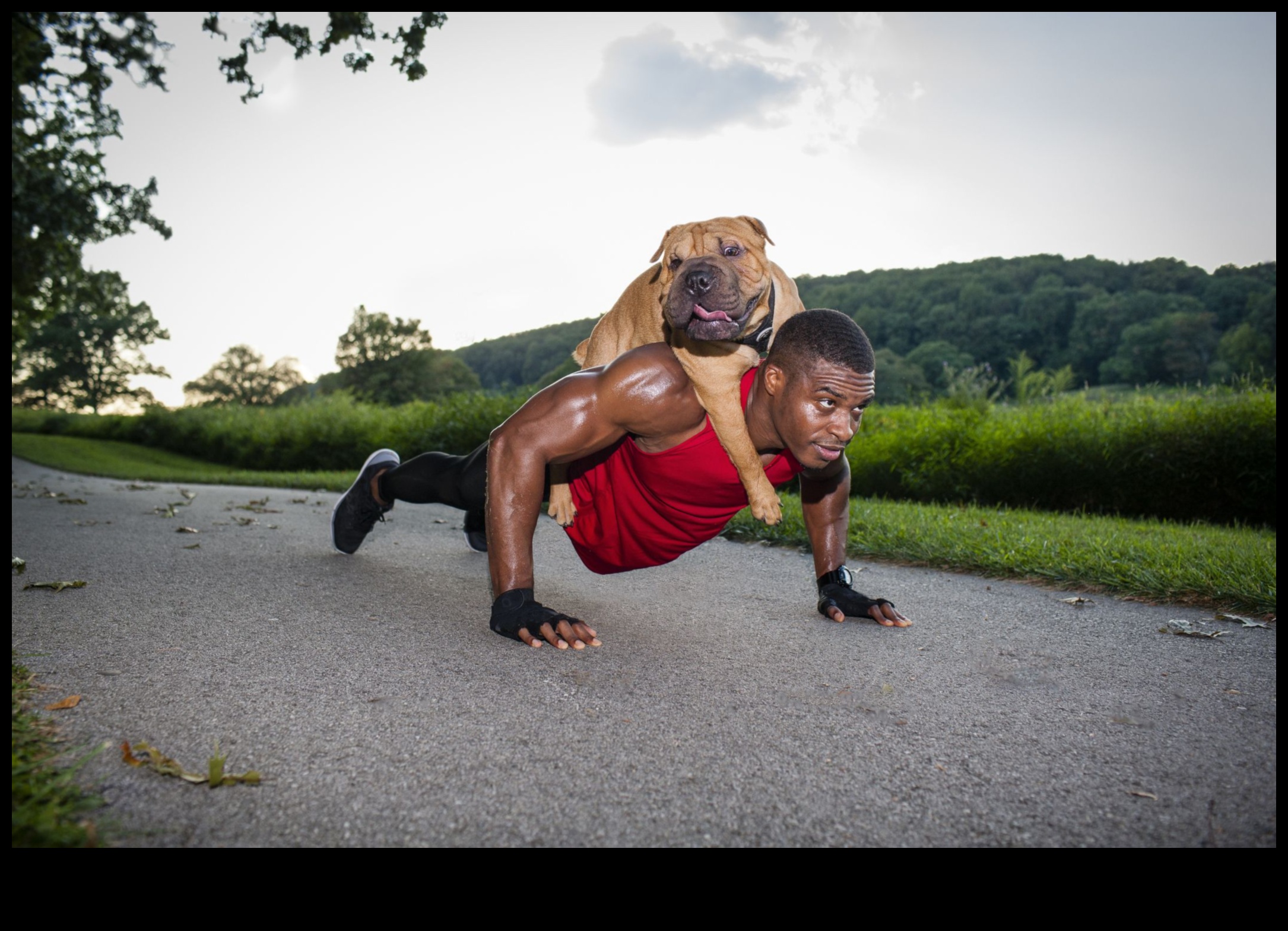 Canine Cardio: Διατηρήστε το σκυλί σας σε φόρμα με διασκεδαστική άσκηση