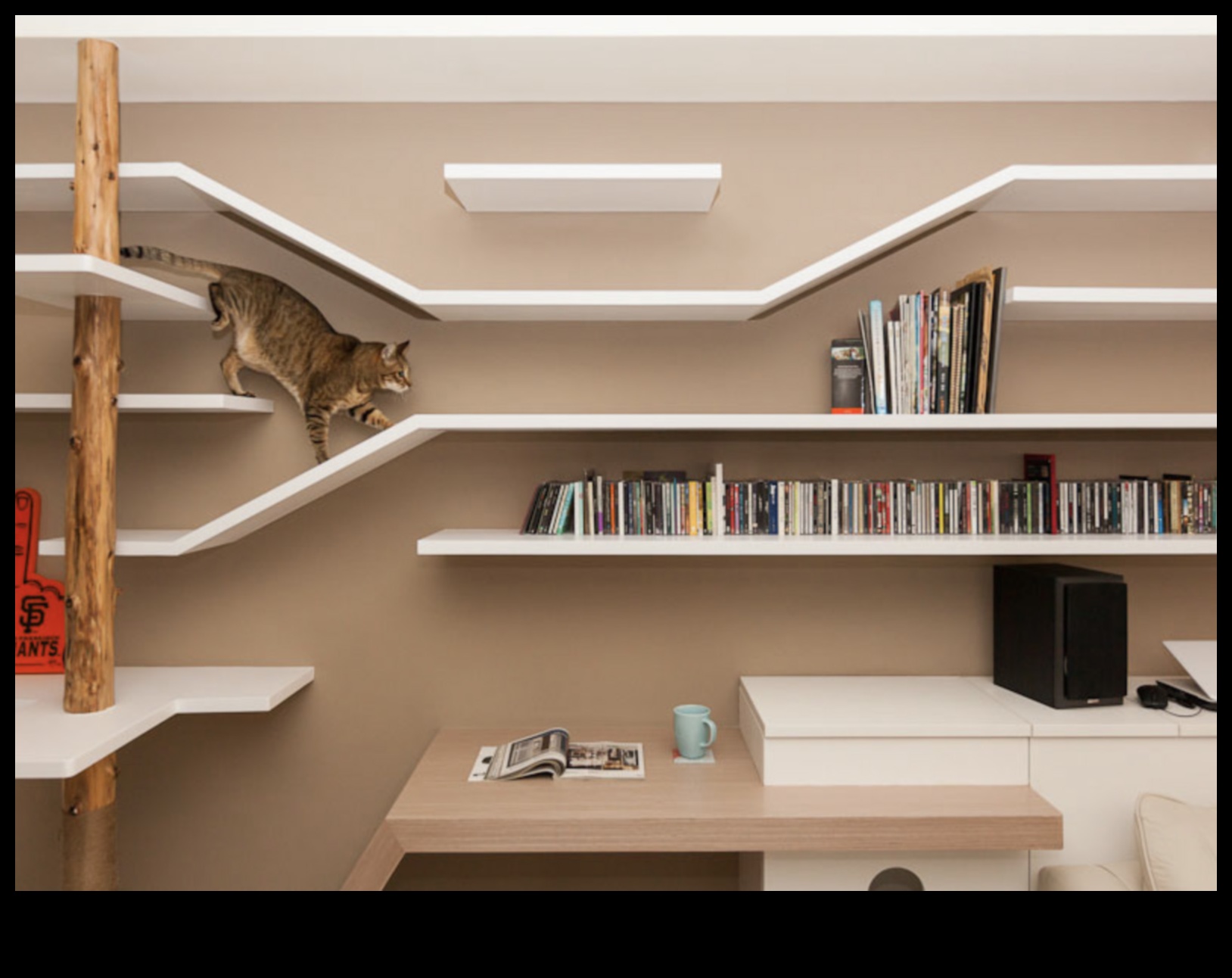 Catwalk Confessions: Κομψές συμβουλές διακόσμησης εσωτερικού χώρου για σπίτια φιλικά προς τις γάτες