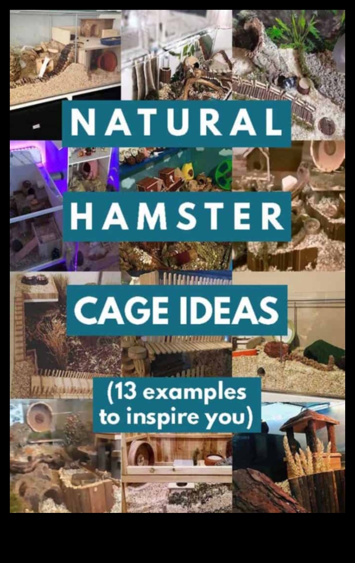 Hamster Homes Συνέχεια: Ενσωμάτωση φυσικών στοιχείων για εμπλουτισμό