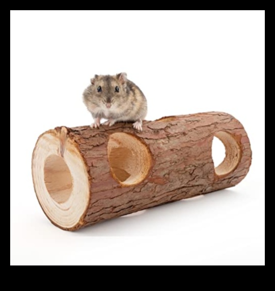 Hamster Homes Συνέχεια: Ενσωμάτωση φυσικών στοιχείων για εμπλουτισμό