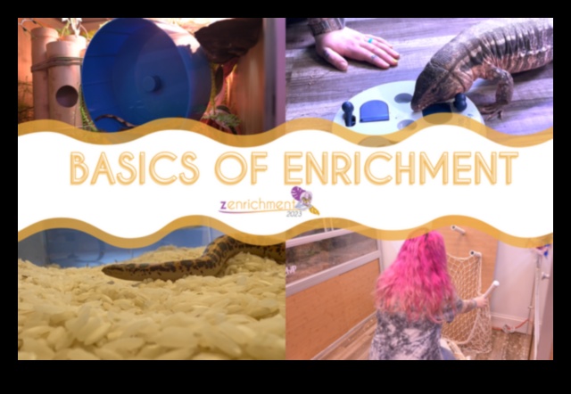 Ώρα ανάγνωσης ερπετών: Παροχή διεγερτικών οπτικών για κατοικίδια φίδια