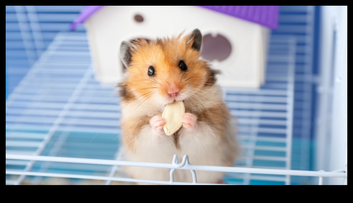 Hamster Happenings: Tiny Adventures for Your Furry Pal