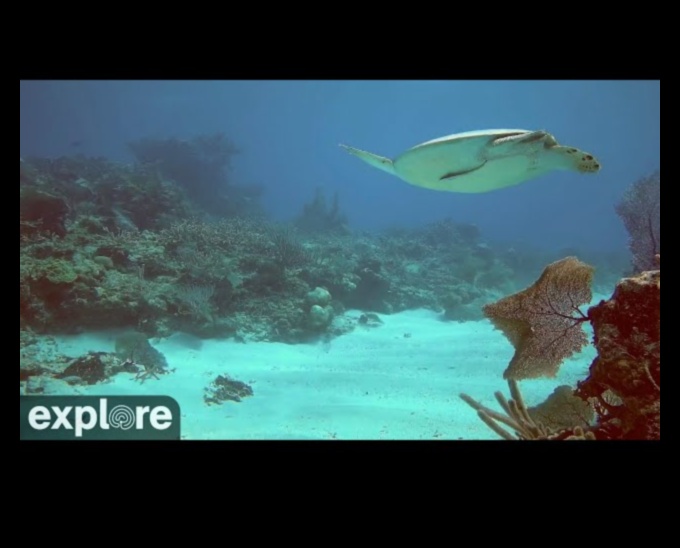 Υποβρύχια Ουτοπία: Κάμερες για Καταγραφή των Βάθη της Θάλασσας