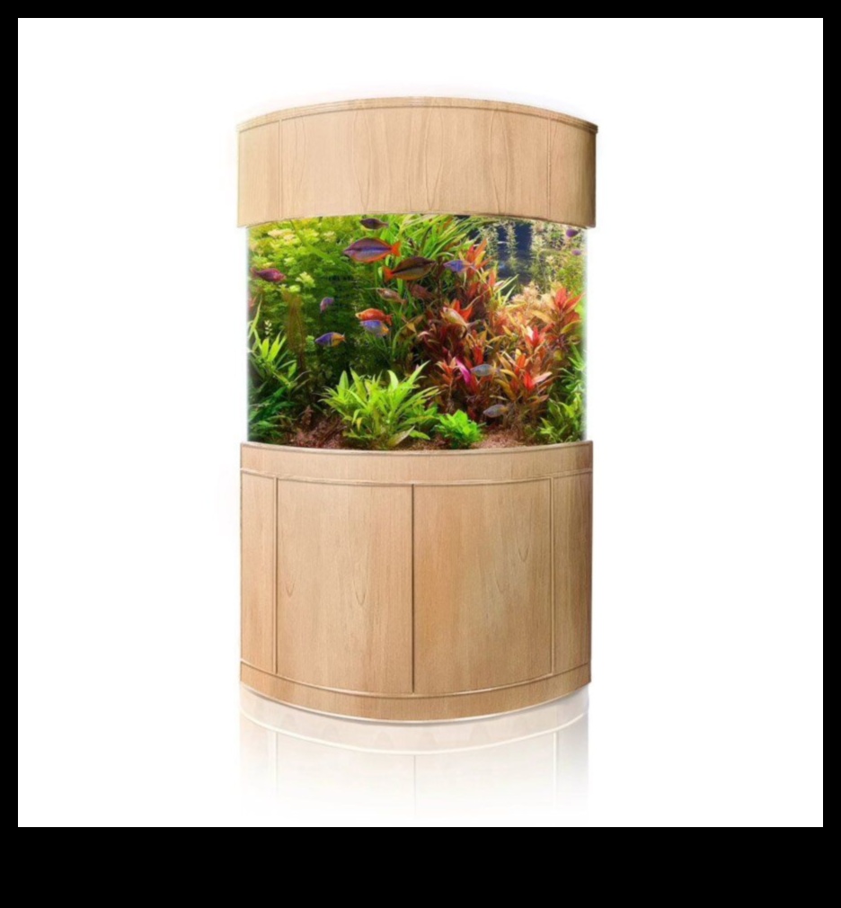 Aqua Accessory Alcove: Δημιουργώντας μια κομψή γωνία στη δεξαμενή ψαριών σας