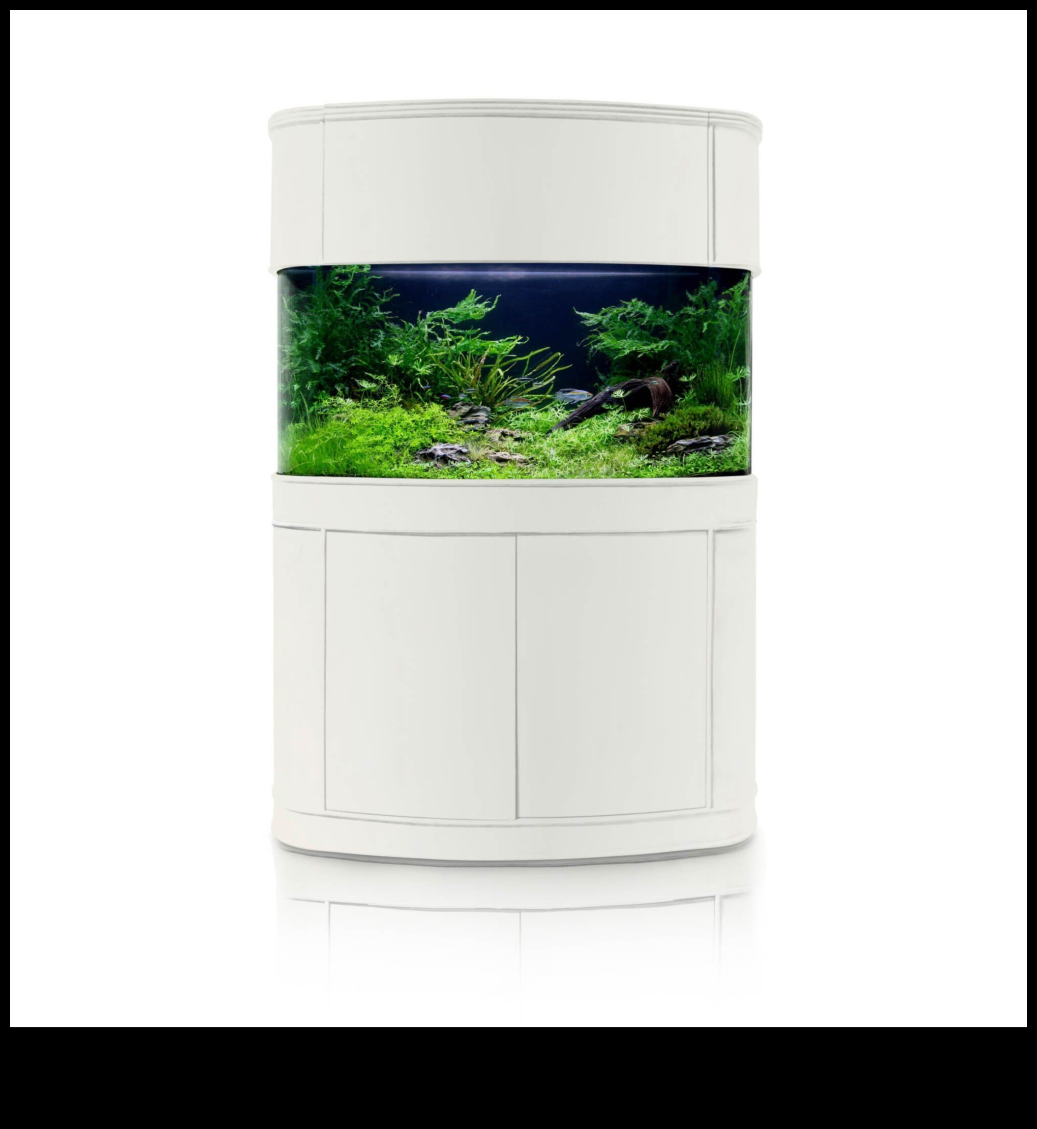 Aqua Accessory Alcove: Δημιουργώντας μια κομψή γωνία στη δεξαμενή ψαριών σας