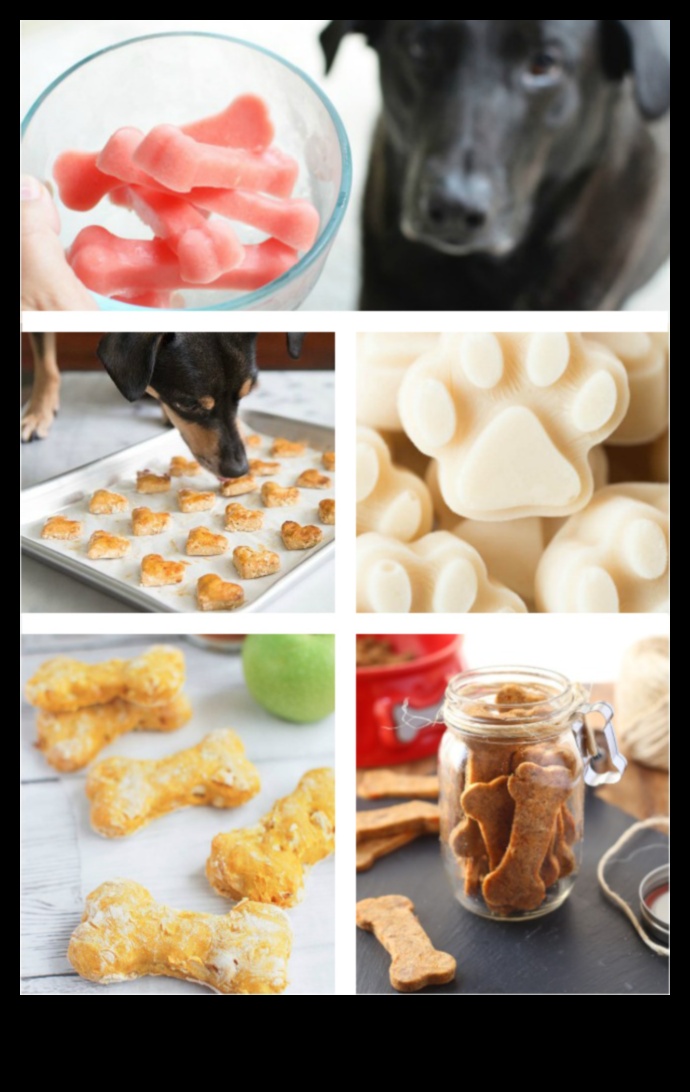 DIY Doggie Delights Δημιουργώντας υγιεινές και νόστιμες λιχουδιές στο σπίτι 3 DIY Doggie Delights: Δημιουργήστε υγιεινές και νόστιμες λιχουδιές στο σπίτι