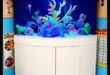 Aqua Accessory Alcove: Δημιουργώντας μια κομψή γωνία στη δεξαμενή ψαριών σας
