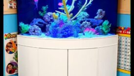 Aqua Accessory Alcove: Δημιουργώντας μια κομψή γωνία στη δεξαμενή ψαριών σας