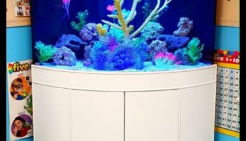Aqua Accessory Alcove: Δημιουργώντας μια κομψή γωνία στη δεξαμενή ψαριών σας