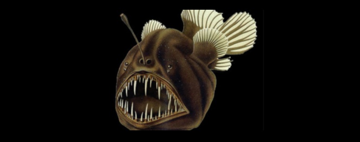 Bait and Switch: Tricky Tactics in the World of Angling