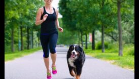 Canine Cardio: Διατηρήστε το σκυλί σας σε φόρμα με διασκεδαστική άσκηση