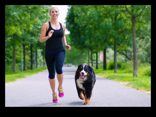 Canine Cardio: Διατηρήστε το σκυλί σας σε φόρμα με διασκεδαστική άσκηση