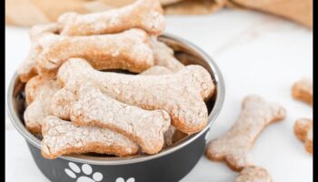 DIY Doggie Delights: Δημιουργήστε υγιεινές και νόστιμες λιχουδιές στο σπίτι