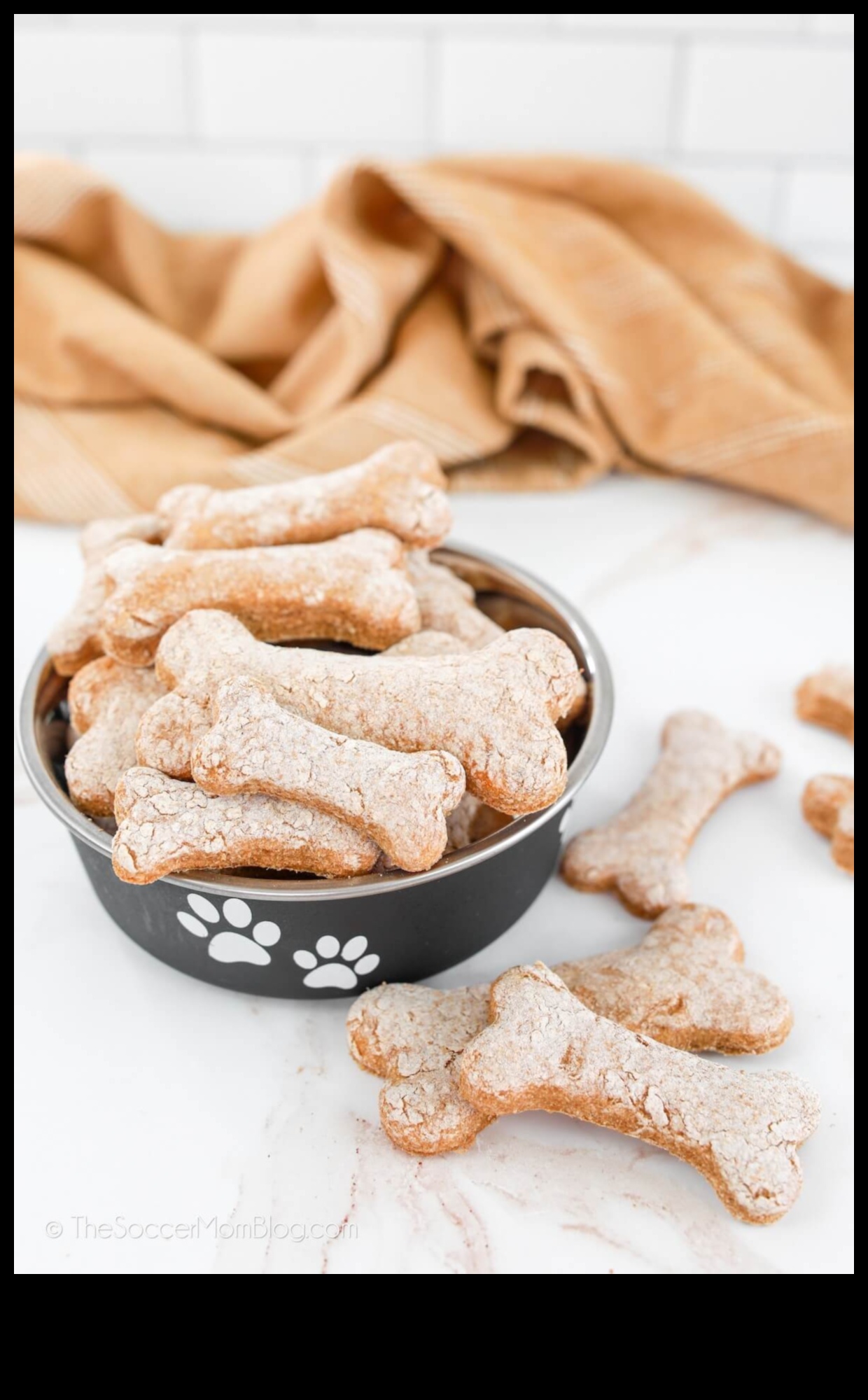 DIY Doggie Delights Δημιουργώντας υγιεινές και νόστιμες λιχουδιές στο σπίτι 1 DIY Doggie Delights: Δημιουργήστε υγιεινές και νόστιμες λιχουδιές στο σπίτι