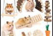 Hamster Dental Health Συνέχεια: Ασφαλείς επιλογές μάσησης και παιχνίδια