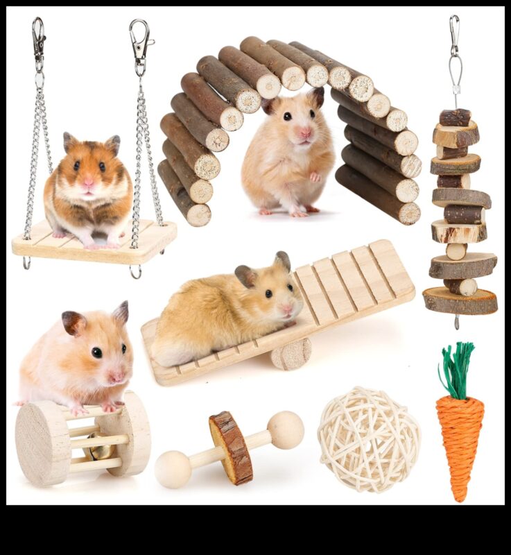 Hamster Dental Health Συνέχεια: Ασφαλείς επιλογές μάσησης και παιχνίδια