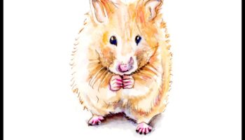 Hamster Happenings: Tiny Adventures for Your Furry Pal