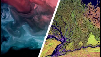 Land Art Legacies: Modern Art in the Natural World