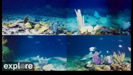 Υποβρύχια Ουτοπία: Κάμερες για Καταγραφή των Βάθη της Θάλασσας