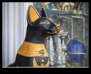 Η κουλτούρα της γάτας συνεχίζεται: Γιορτάζοντας τις επιρροές των αιλουροειδών στην τέχνη και τα μέσα ενημέρωσης