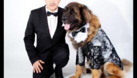 Canine Couture: Κομψά αξεσουάρ για σκύλους για ένα μοντέρνο κουτάβι