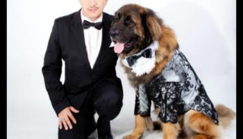 Canine Couture: Κομψά αξεσουάρ για σκύλους για ένα μοντέρνο κουτάβι