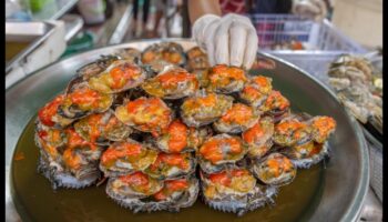 Συνεχίζεται η παράκτια κουζίνα: Φεστιβάλ θαλασσινών και γαστρονομικές εκδηλώσεις