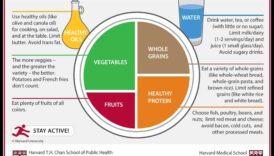 Plate to Prosper: Διατροφικές στρατηγικές για μια ευημερούσα ζωή