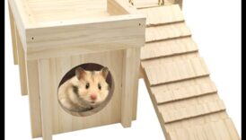 Χάμστερ Hideouts Συνέχεια: Καινοτόμα υλικά και ιδέες για ένθεση