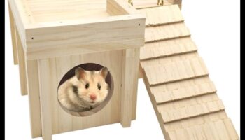 Χάμστερ Hideouts Συνέχεια: Καινοτόμα υλικά και ιδέες για ένθεση