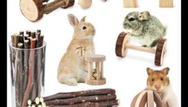 Hamster Homes Συνέχεια: Ενσωμάτωση φυσικών στοιχείων για εμπλουτισμό