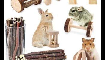 Hamster Homes Συνέχεια: Ενσωμάτωση φυσικών στοιχείων για εμπλουτισμό